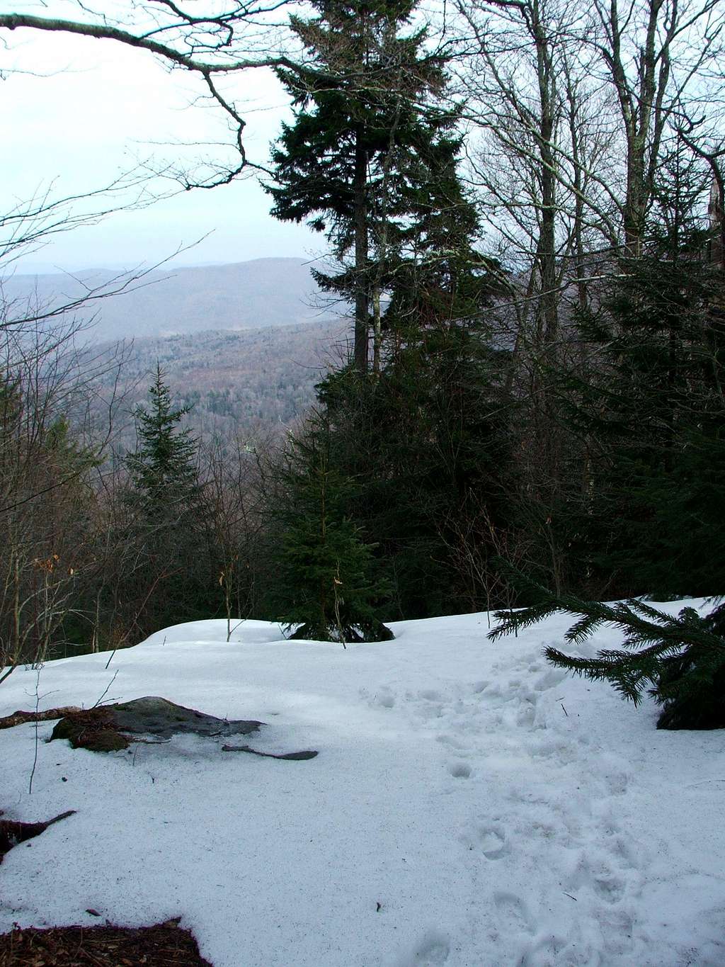 Red Spruce Knob Trail Overlook