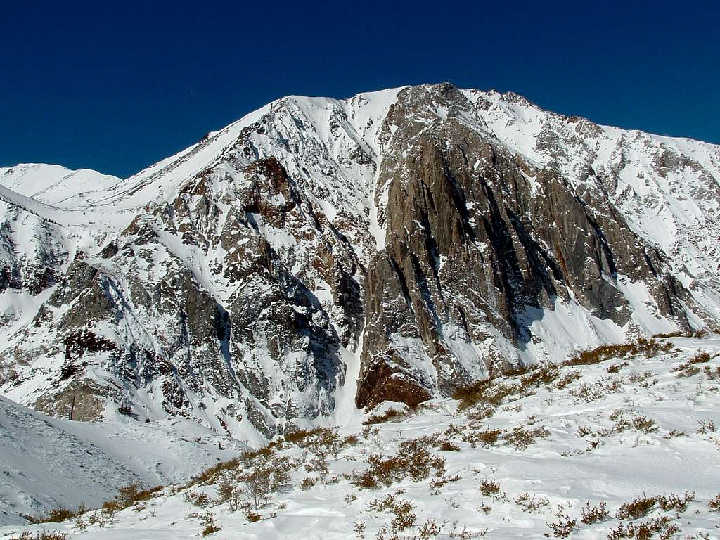 East Face of Laurel