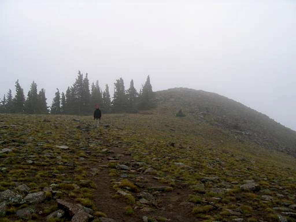 Baldy Peak in Fog and Rain