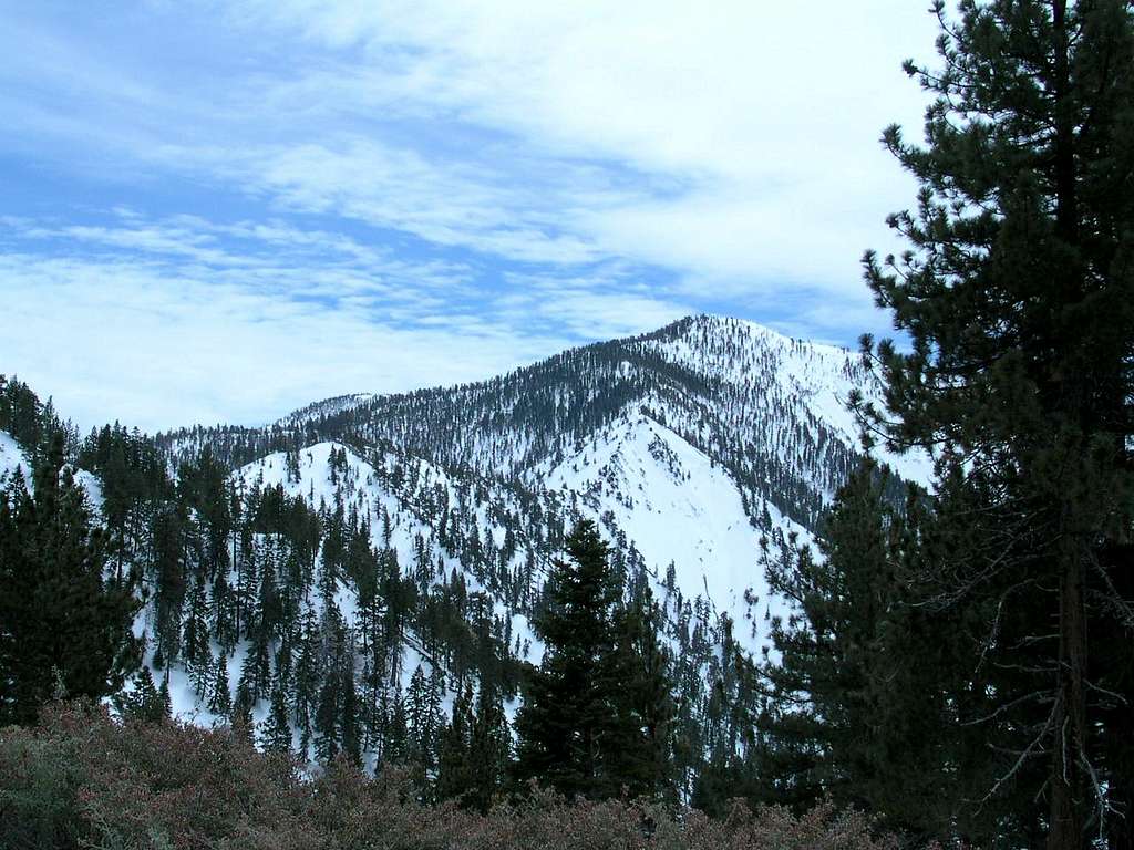 Pine Mountain and the North Backbone