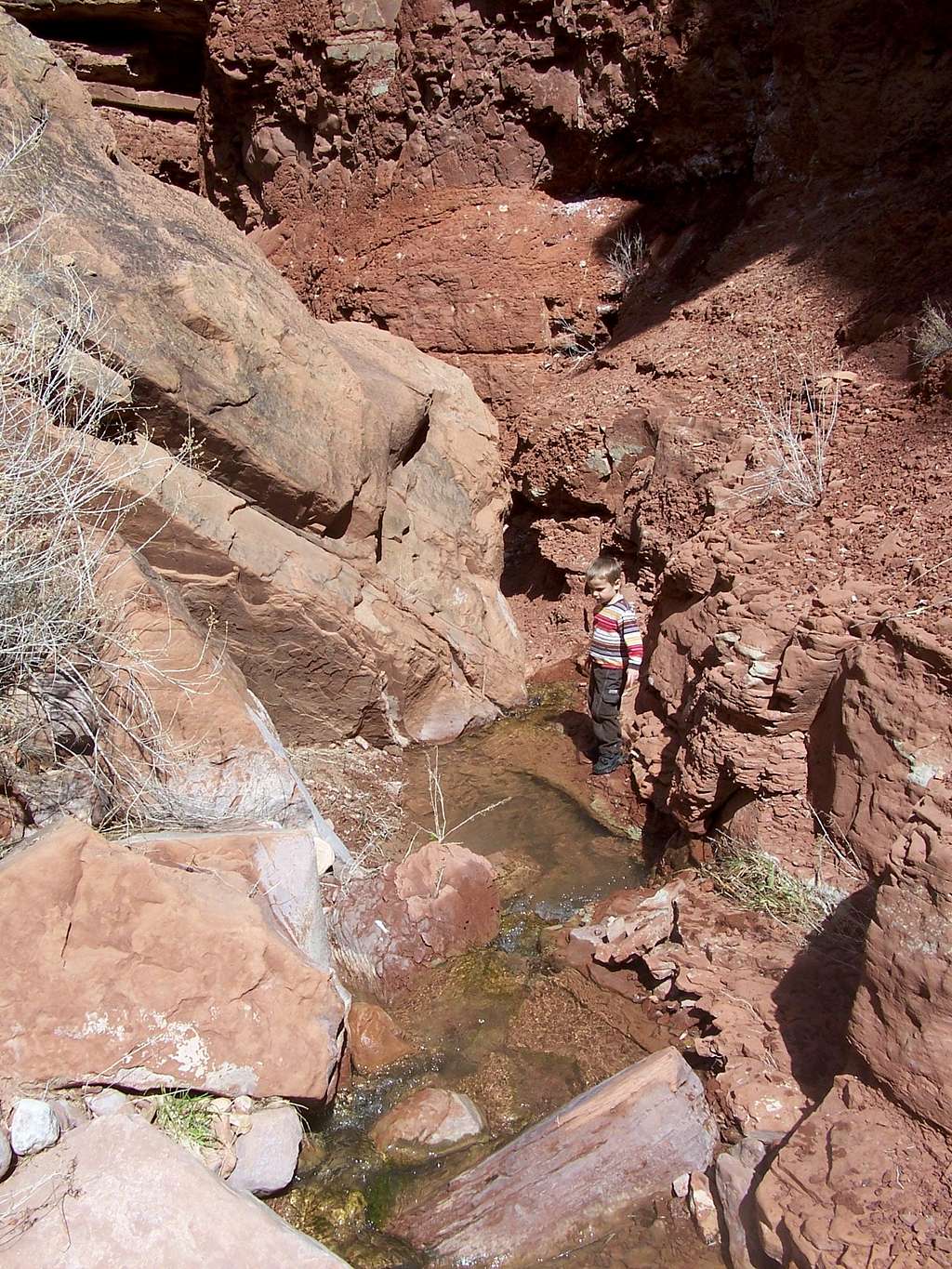 One of the many creek crossings along the route