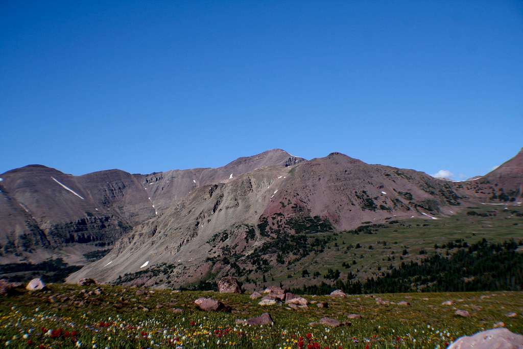 Wasatch Peak