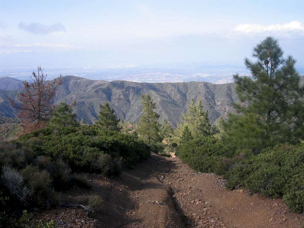 View North from Trail