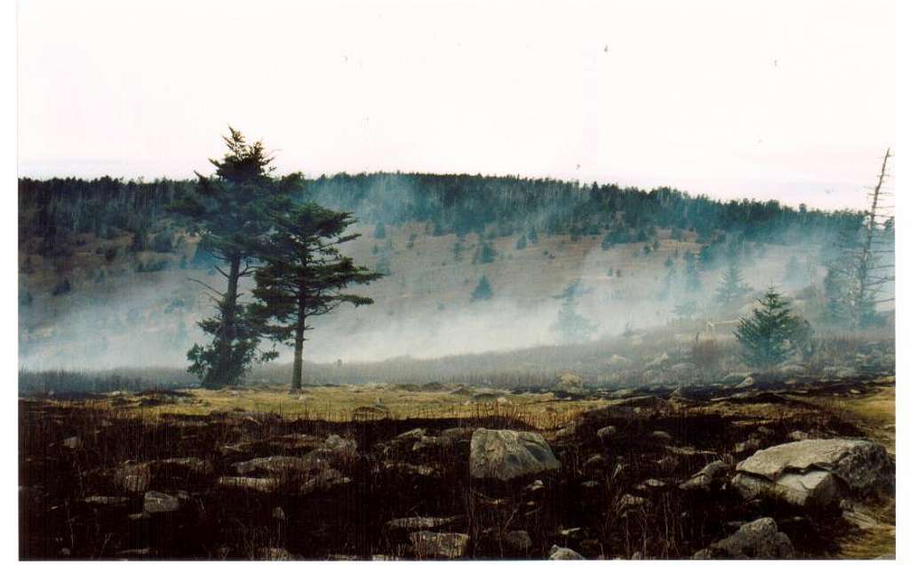 Mount Rogers Fire