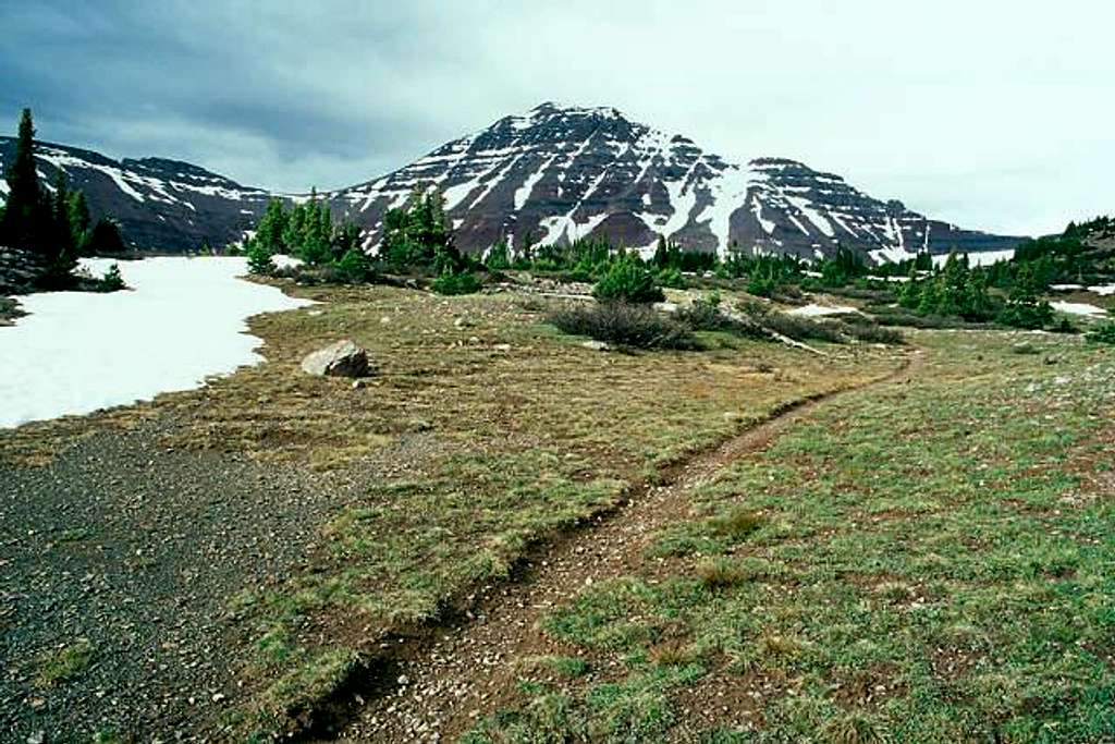 Trail in Upper Basin