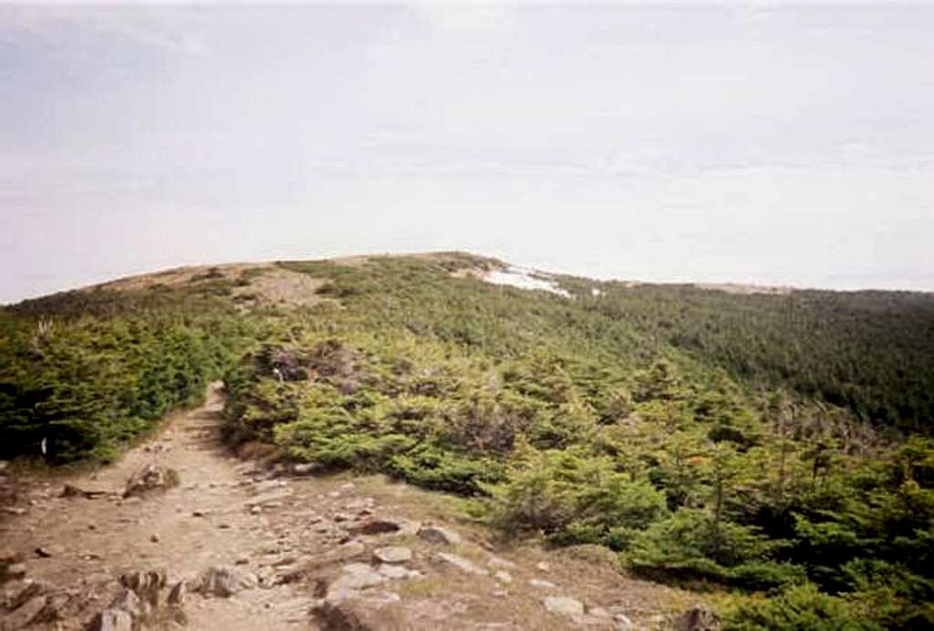 Mt. Mooselauke. (May 27th,...