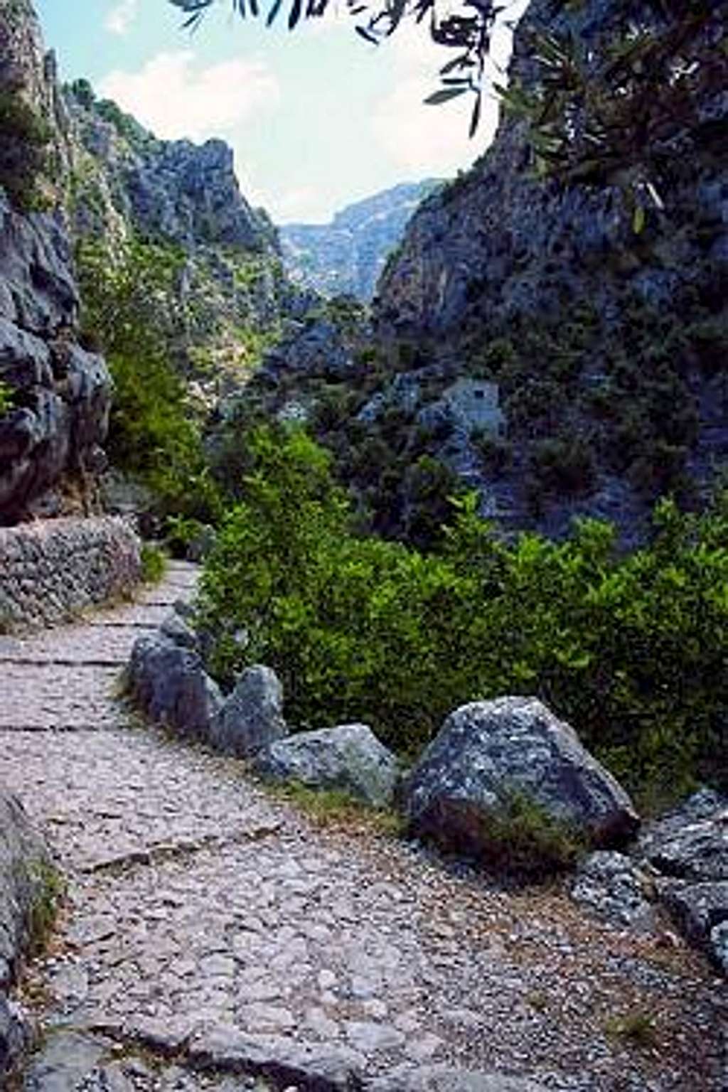 Old Cobble stoned foot-paths (Barranc de Biniaraix)