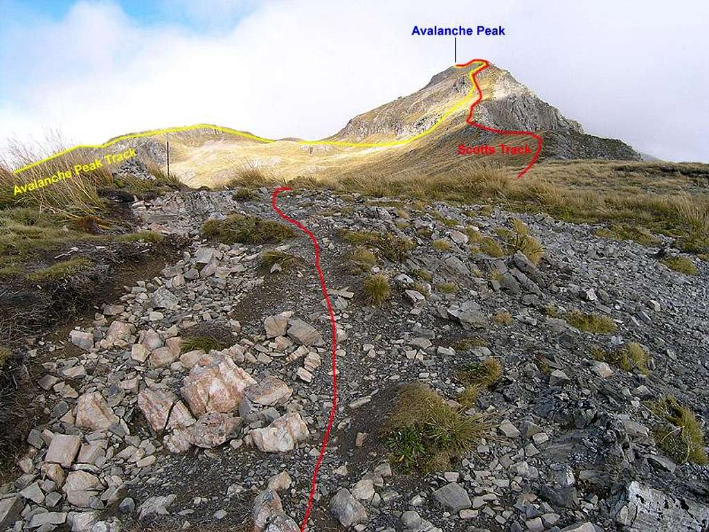 Scotts and Avalanche Peak Tracks to the summit