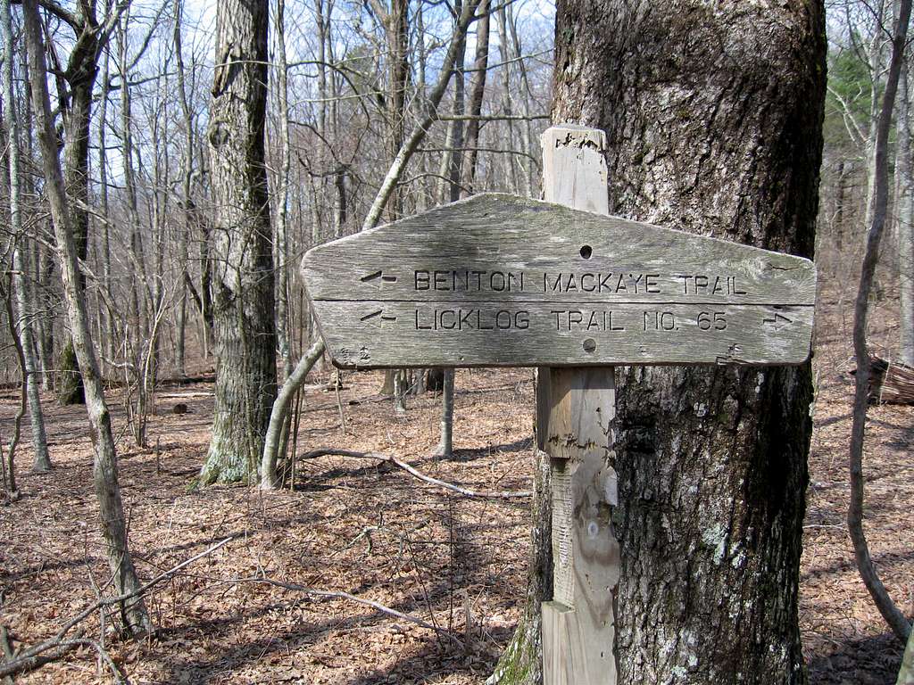 Intersection of the Licklog Ridge Trail and the Hemp Top Trail