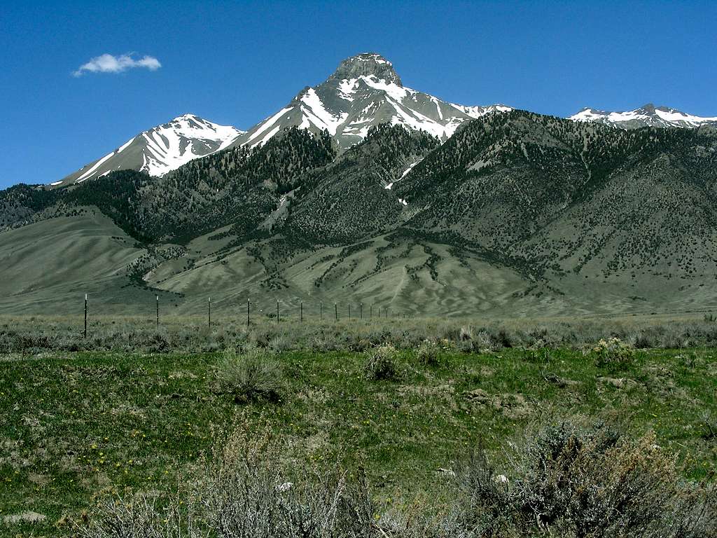 Mt McCaleb in Spring