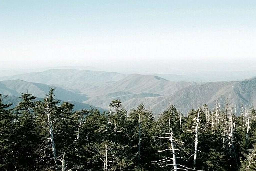North from Clingmans Dome