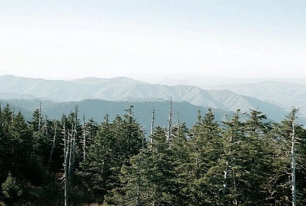 Northwest of Clingmans Dome