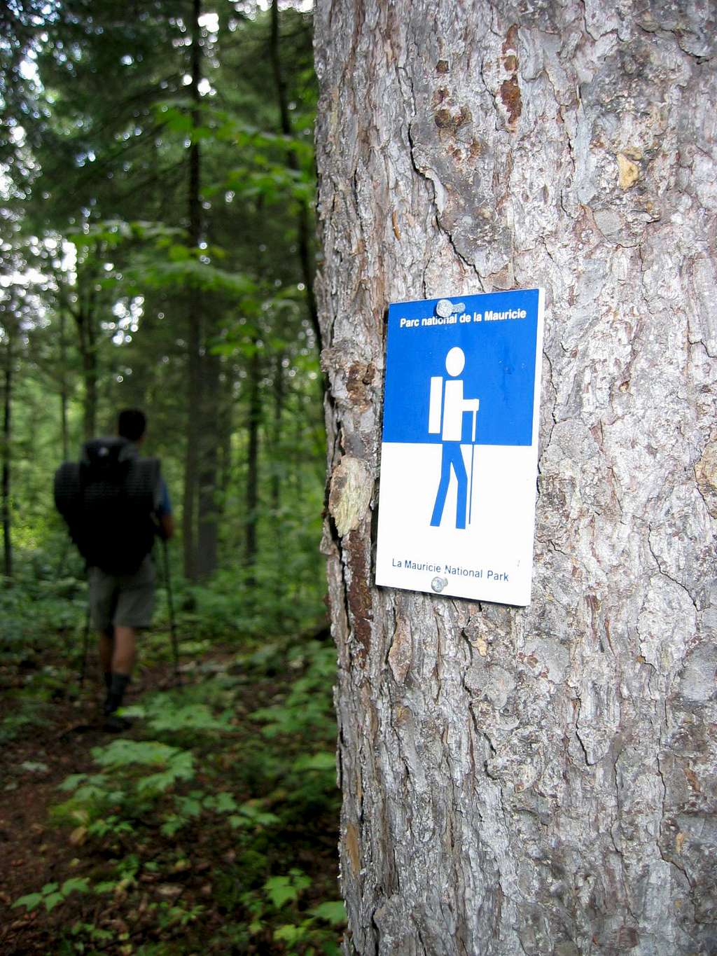 Trail Sign - Laurentian Trail