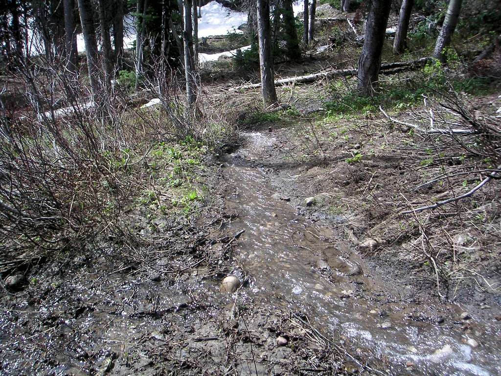 Wet Trail