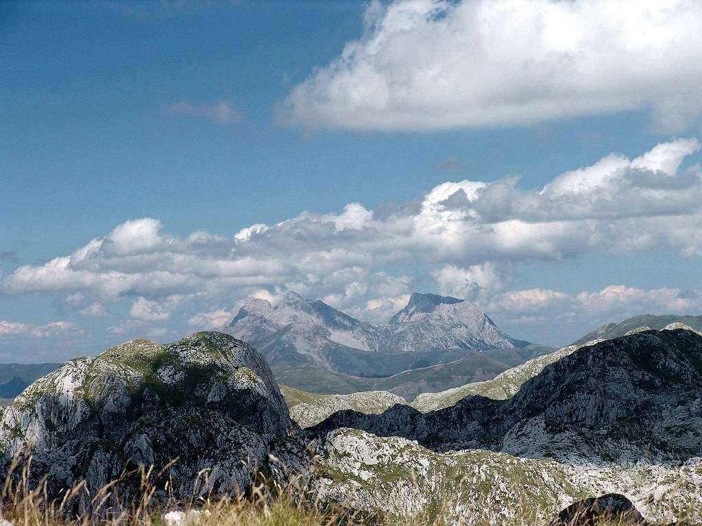 A view from Zijevo summit
