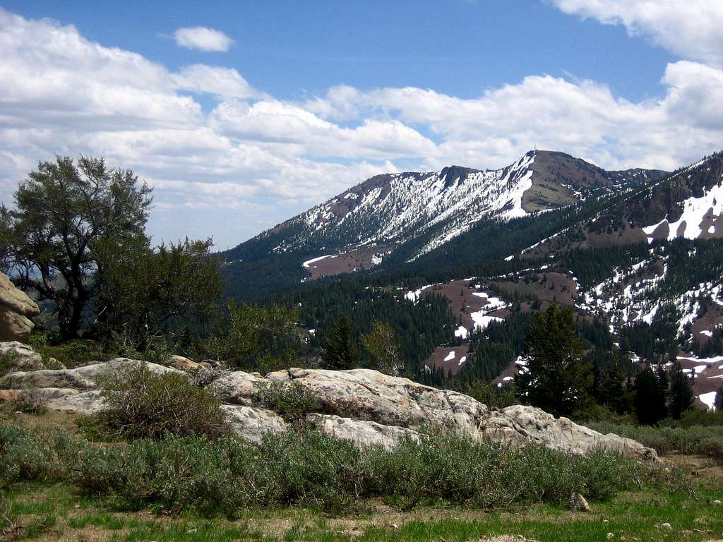 Hayden Peak