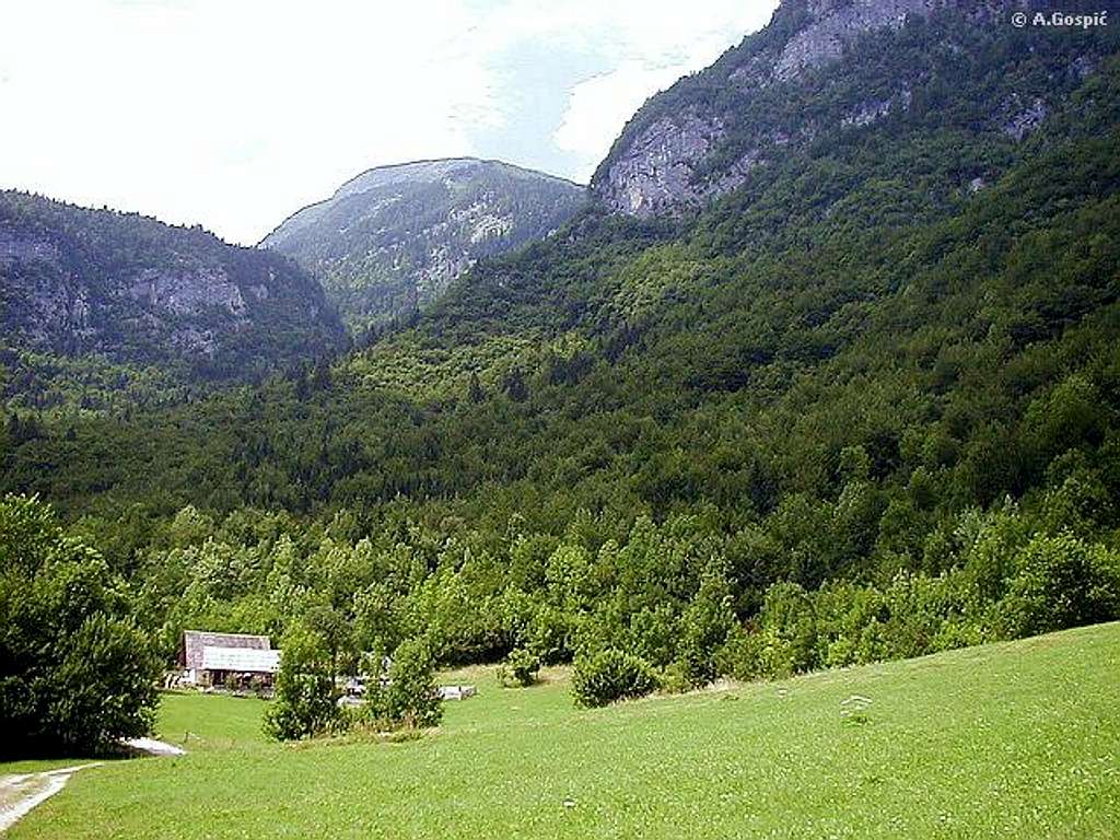 At the end of Voje valley
