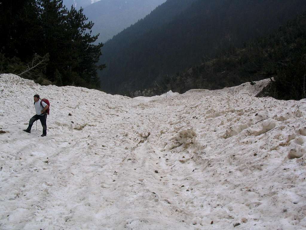 huge avalanche under refuge Zolotas at 1500 m 05/16/06