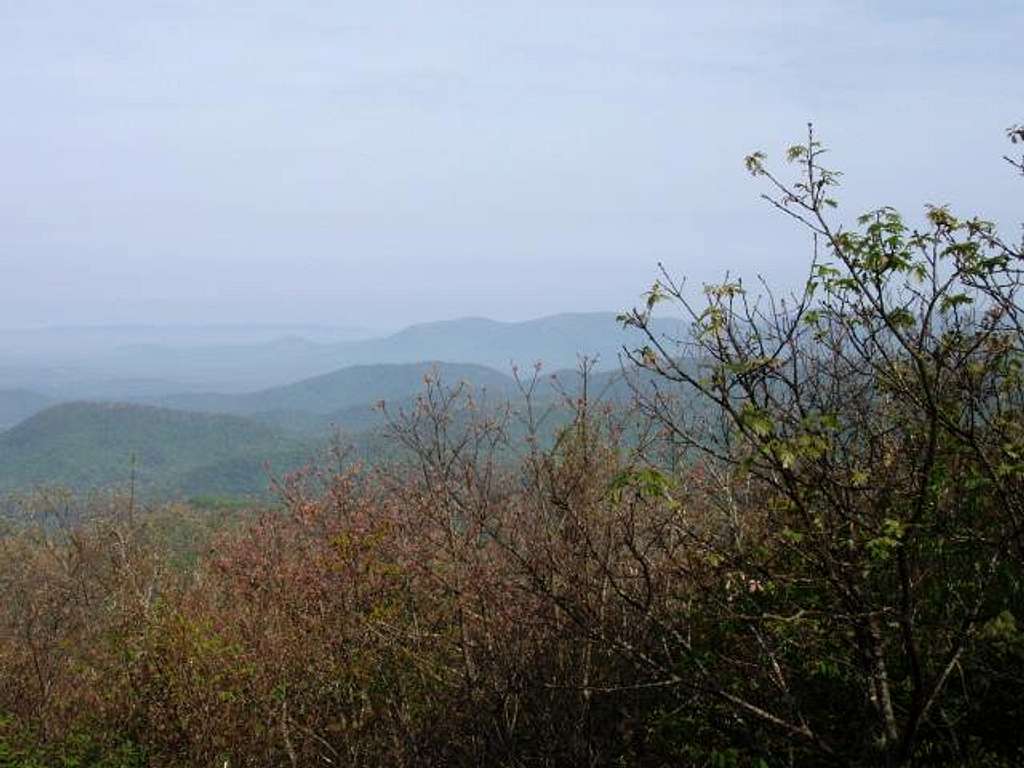 View from the top of Springer Mountain