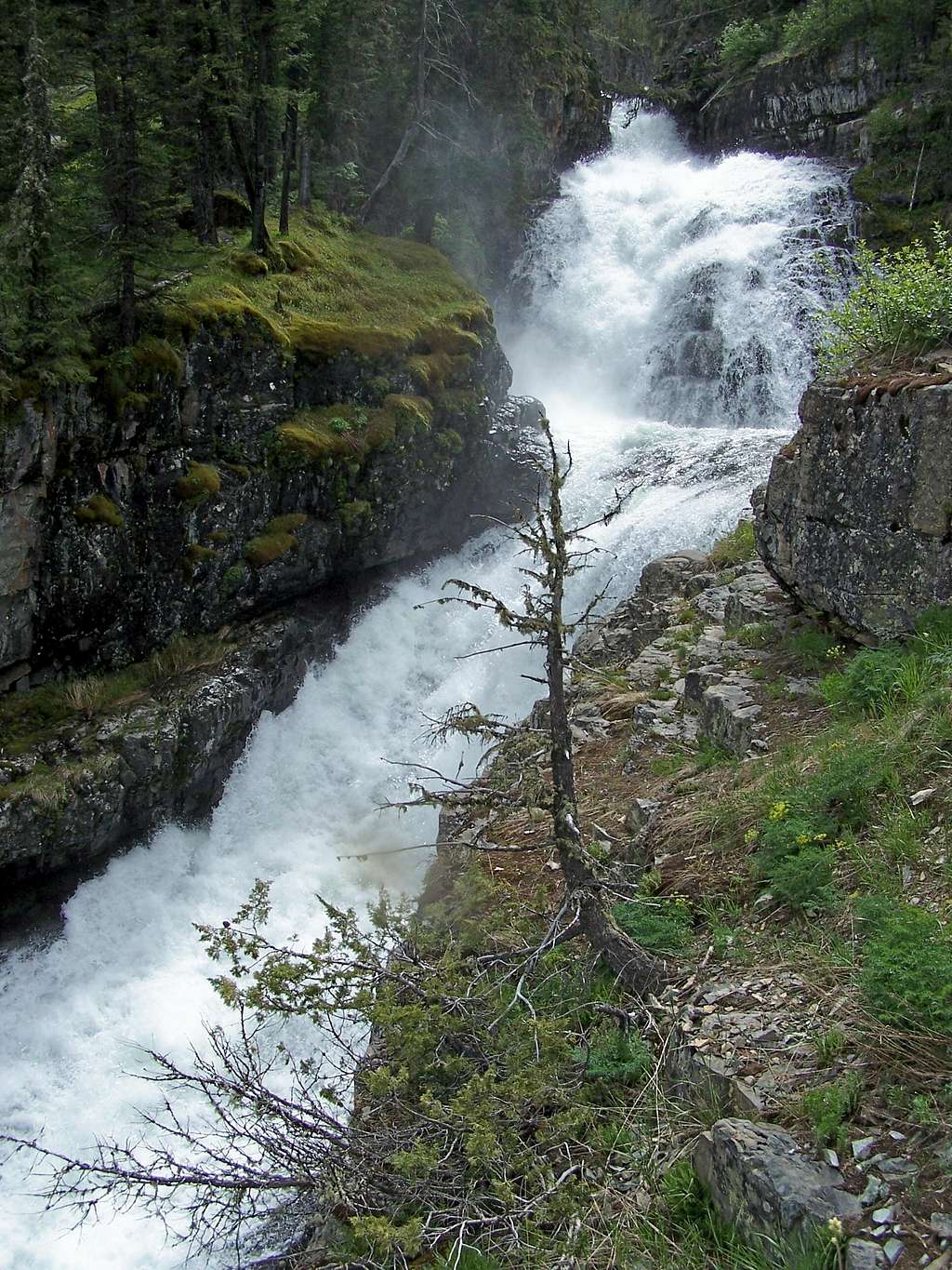 Big Timber Creek Falls