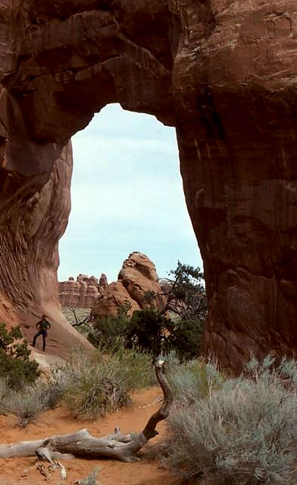 Pine Tree Arch, Arches