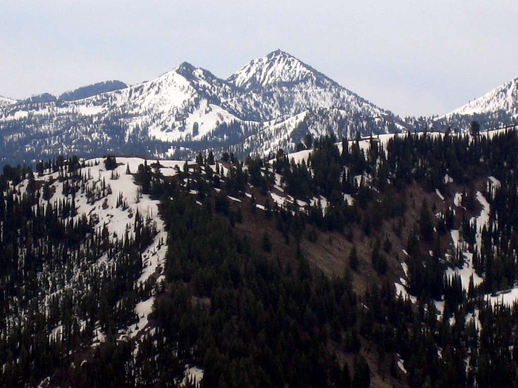 Trinity Mountain