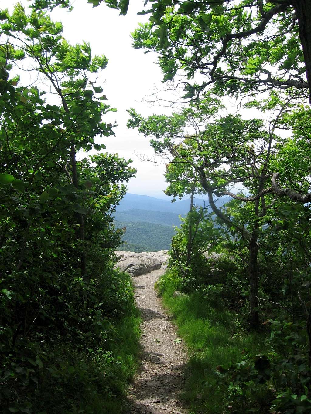 Path to the Viewpoint