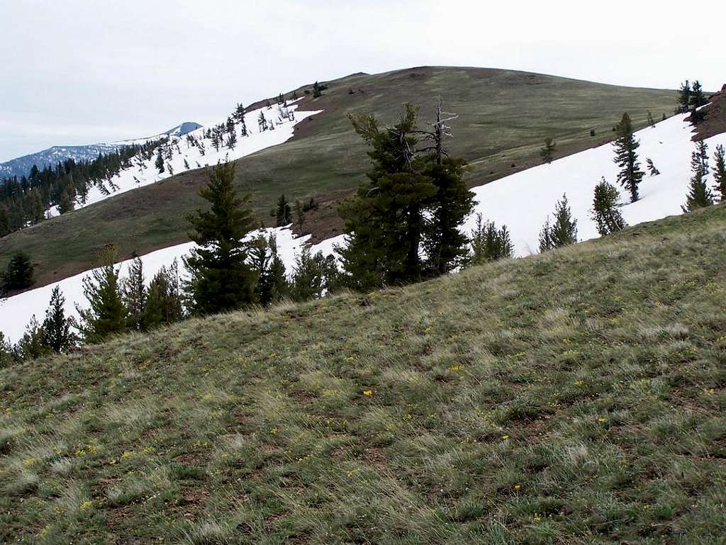Baldy as you enter the summit meadow