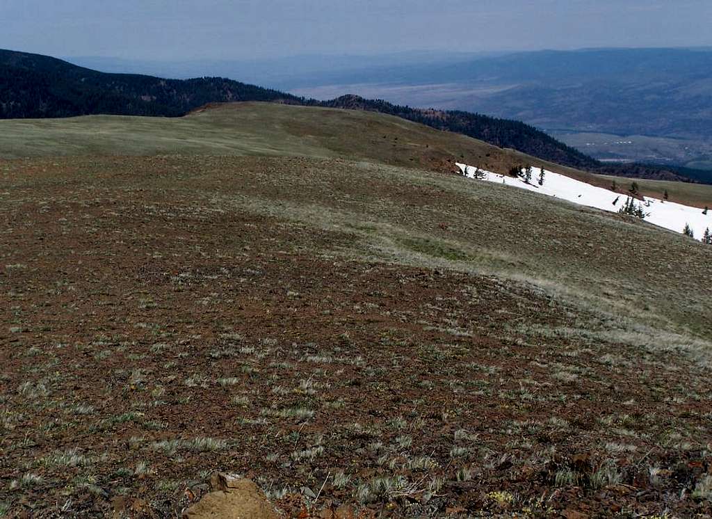 The long summit meadow