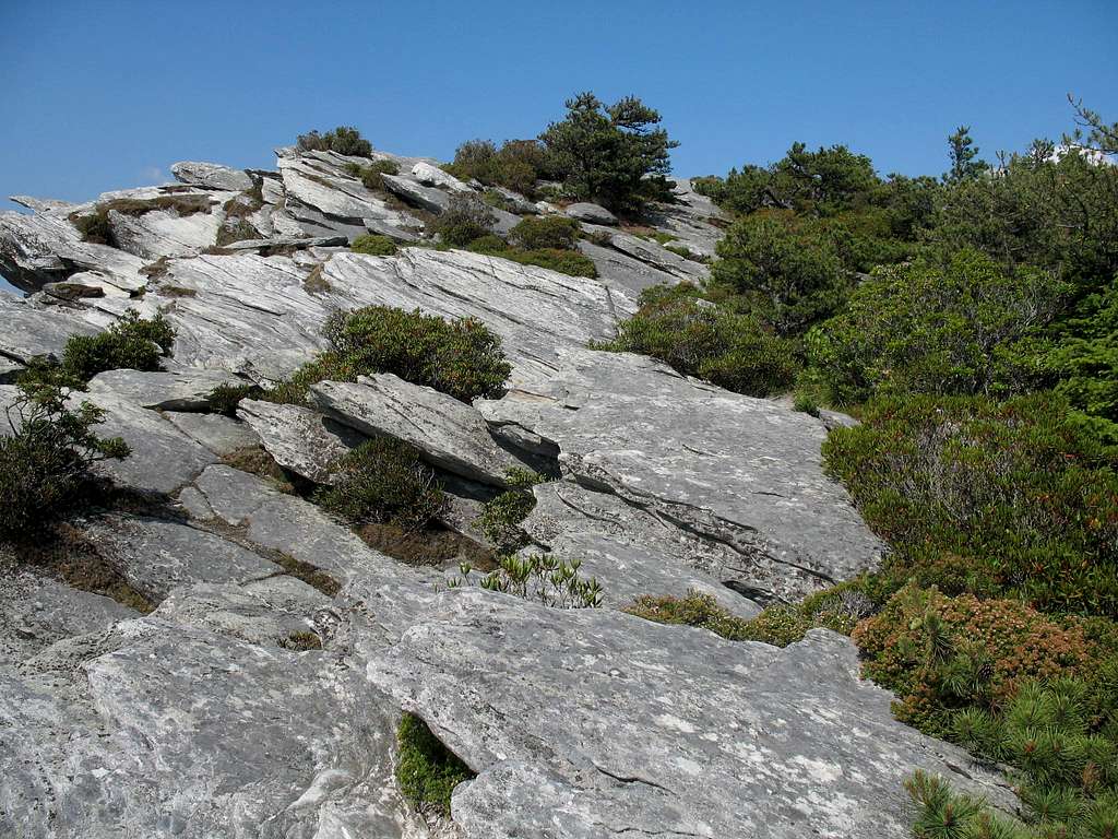 Hawksbill Summit Rocks