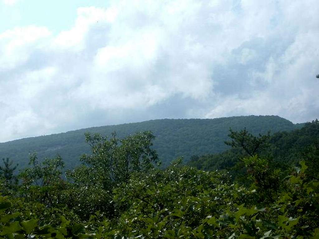 View of Turk Mountain