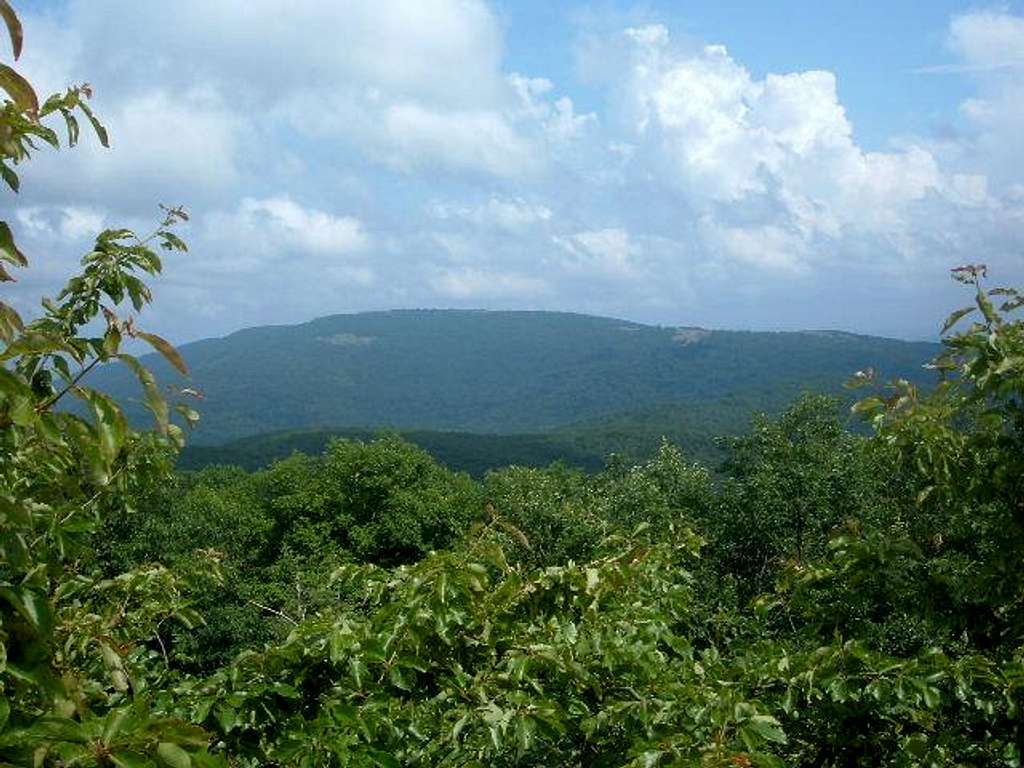 View from the lower rocks