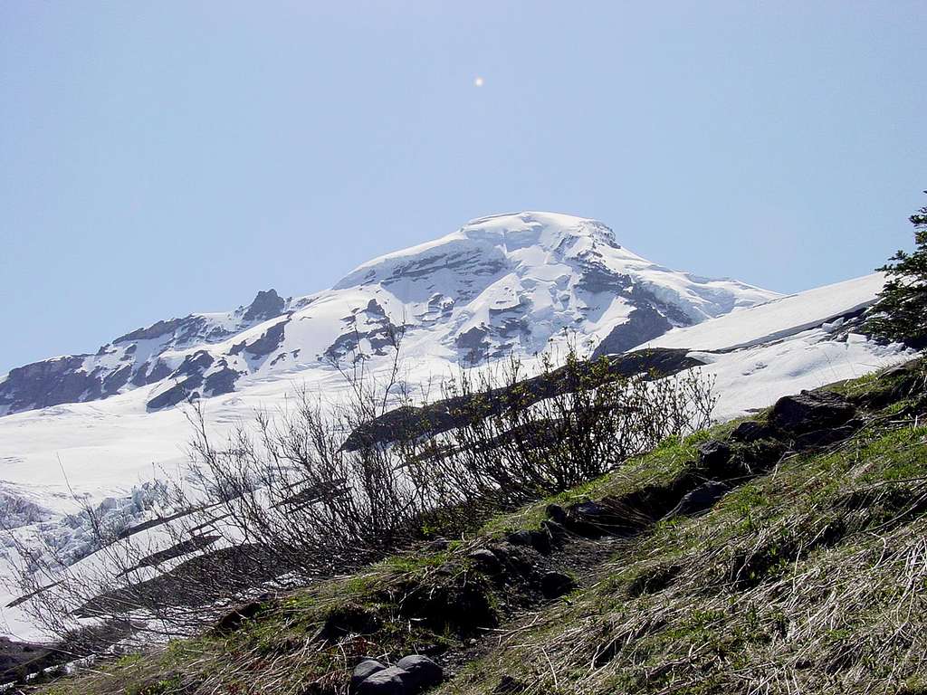 Mount Baker from Heliotrope Ridge