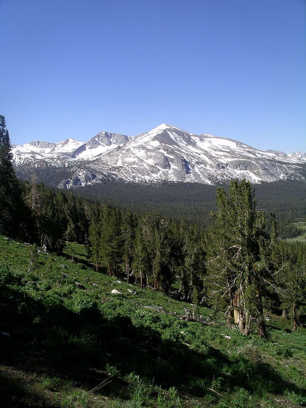 Mammoth Peak From Dana