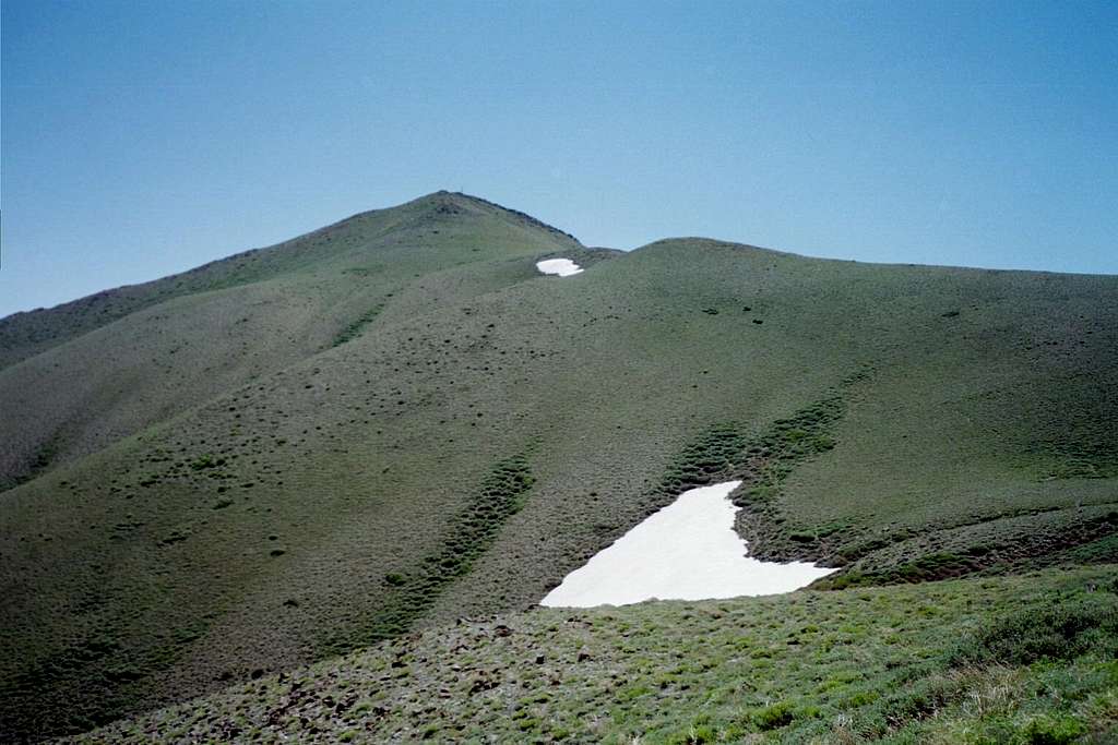 Mount Augusta