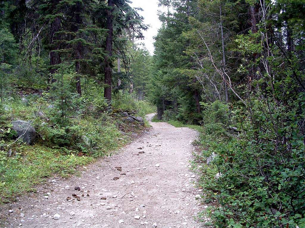 Fred Burr Trail