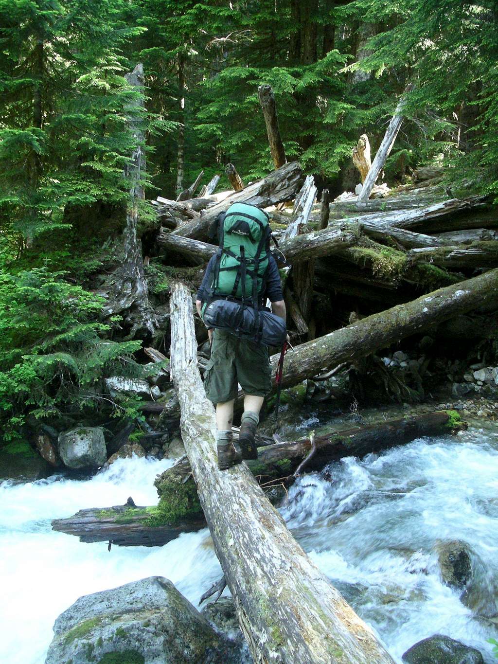 Log crossing on Bachelor's creek