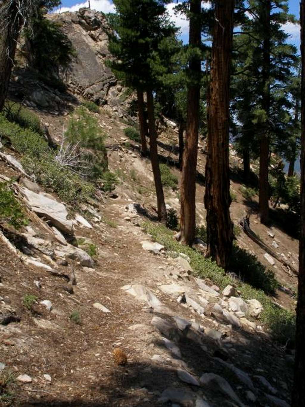 Trail to Baker Point
