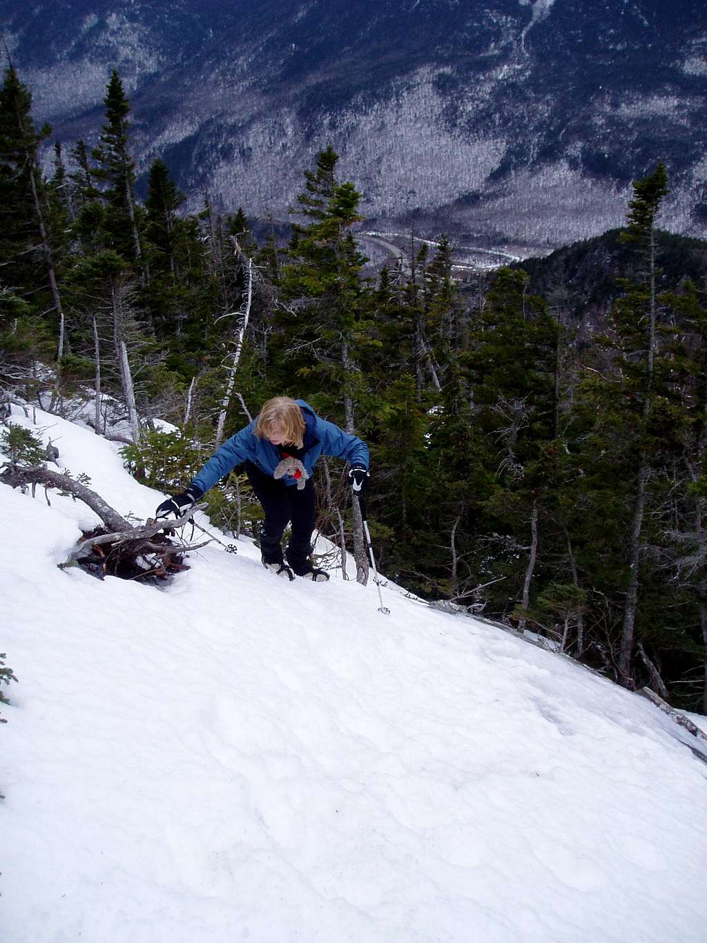 Wildcat Ridge Trail