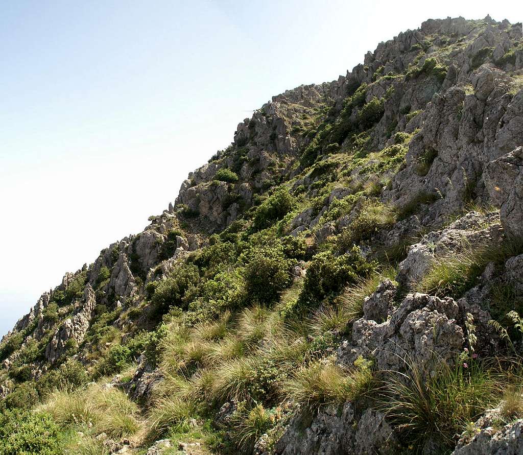 The Monte San Caloògero west face