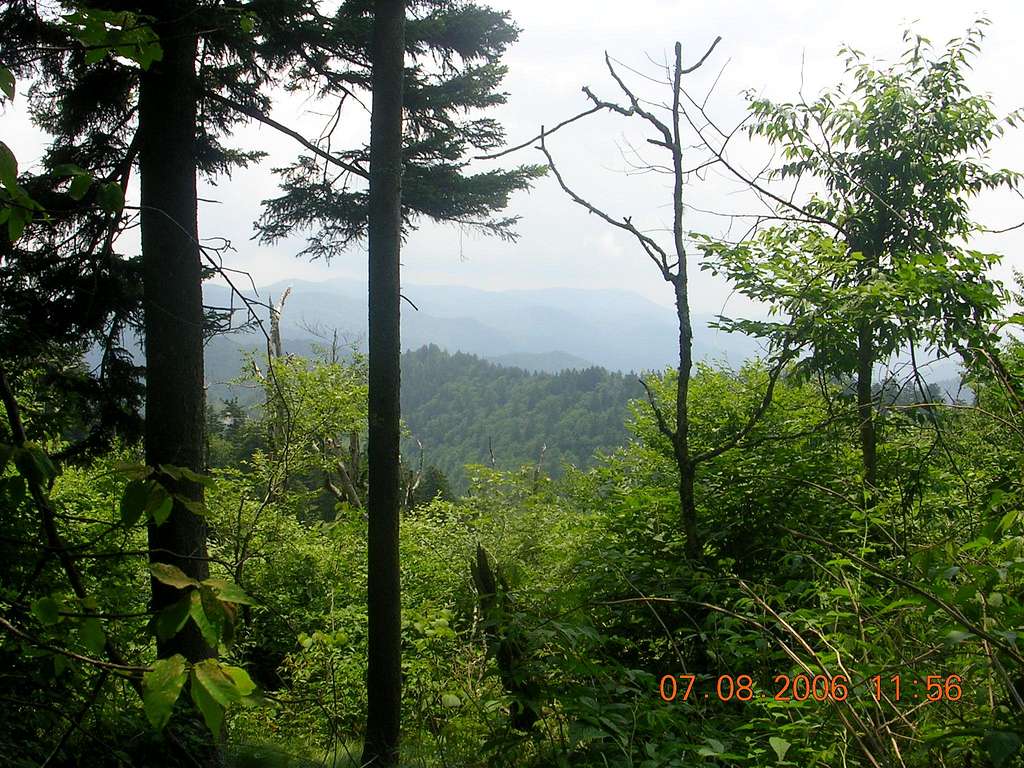 View from the Newfound Gap to Clingmans Dome Trail