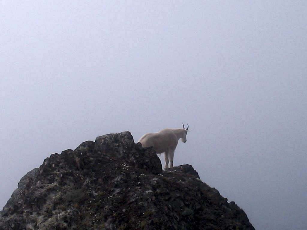 Billy on the summit