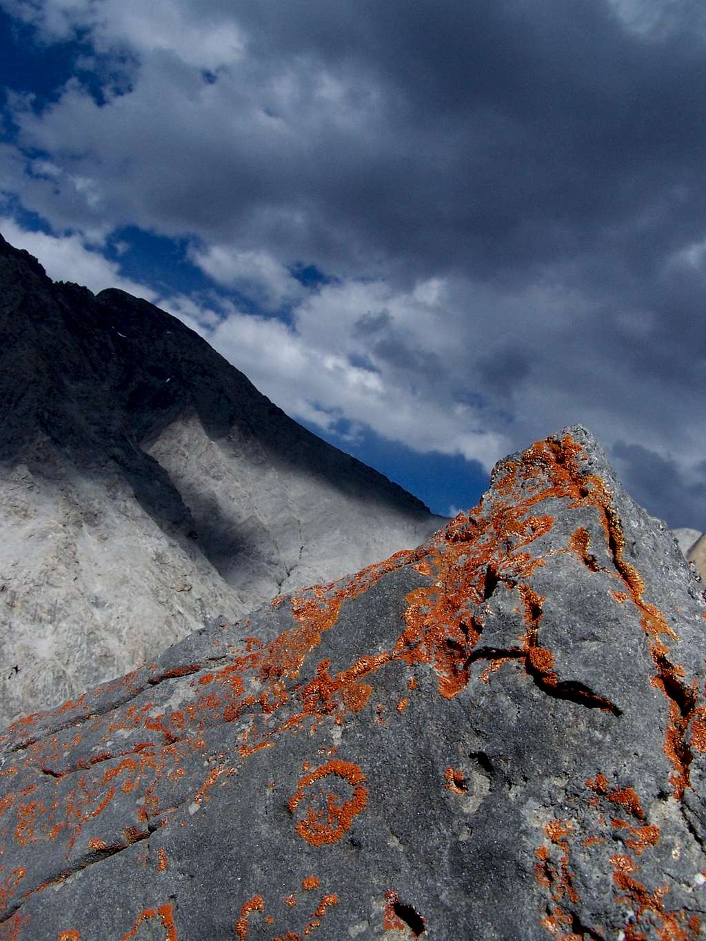 Orange Lichens and Borah Pk.-ID