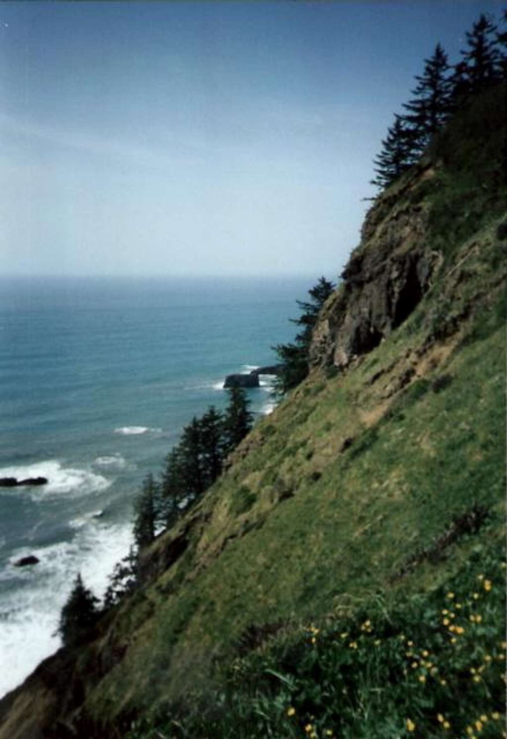Looking north from Cascade Head