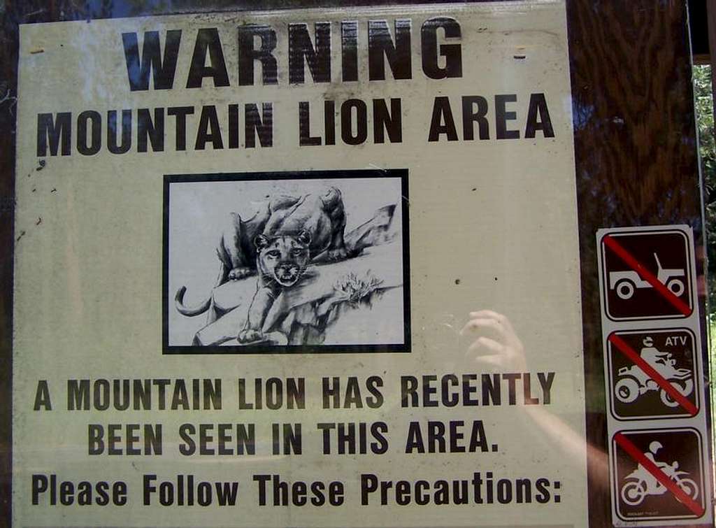 Beware of Cougars