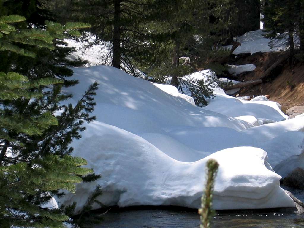 Sequoia April 2005