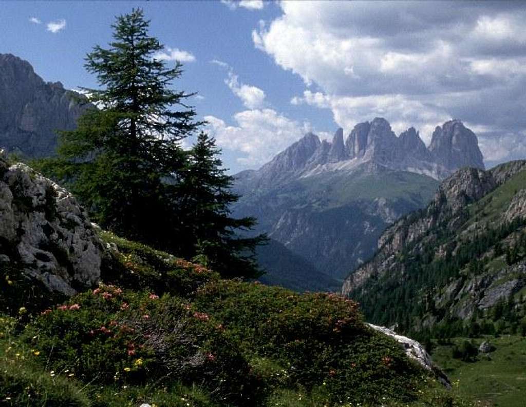 the Sassolungo massif (left...