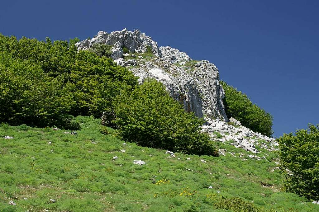 Landmark Rock