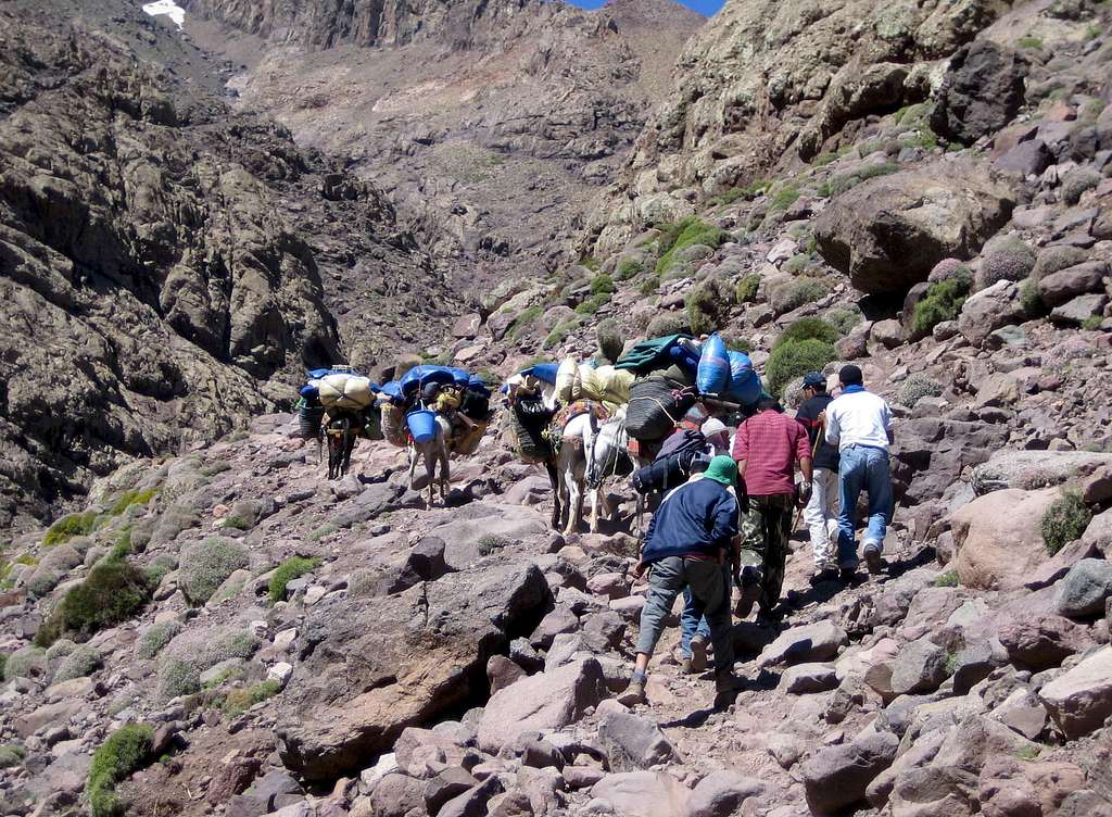 Trainee mountain guides on their final examination.