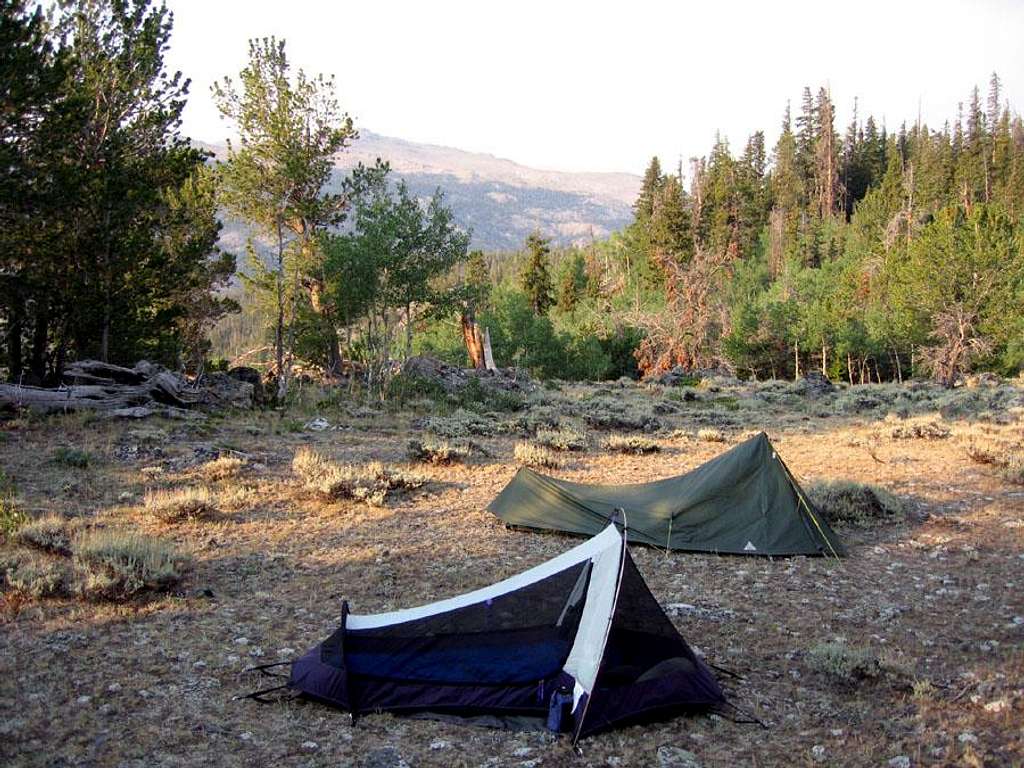 Campsite near Cold Springs TH